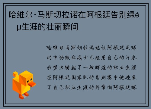哈维尔·马斯切拉诺在阿根廷告别绿茵生涯的壮丽瞬间